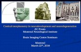 Cortical morphometry in neurodevelopment and … · 2010-03-22 · Cortical morphometry in neurodevelopment and neurodegeneration AC Evans Montreal Neurological Institute Brain Imaging