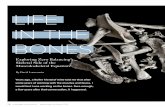 LIFE IN THE BONES · Bones and Joints: They’re Alive! As a result of inadequately detailed teaching of the skeletal system, often we forget that bones and joints are alive. Every