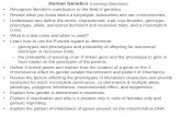 Human Genetics (Learning Objectives)faculty.sdmiramar.edu/bhaidar/bhaidar 210A web... · Human Genetics (Learning Objectives) • Recognize Mendel’s contribution to the field of