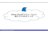 Sales Cloud ソリューション 導入コンサルティング · Sales Cloud® ソリューション導入コンサルティングはいくらかかるの？ 導入コンサルティング費用：55万円～