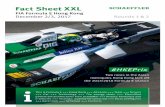 Fact Sheet XXL - schaeffler.de · 2007 2nd GP2 Series, Formula 1 test driver 2014 2nd 24 Hours of Le Mans, 4th WEC 2015 3rd Formula E 2016 2nd Formula E 2017 1st Formula E #1 Audi