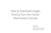 How to Download Images Directly from the Fischer Mammotest ... · Fischer Mammotest Console. USB Drive •Find the USB port on the back of the computer tower. It is located just below