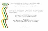 TRABAJO DE GRADUACIÓN - COnnecting REpositories · TRABAJO DE GRADUACIÓN Autores: Br. Martha Lorena Alemán Canda Br. Tony Antonio Vallejo Brenes Managua, Nicaragua, Octubre, 2017