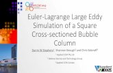 Euler-Lagrange Large Eddy Simulation of a Square Cross ...€¦ · Euler-Lagrange Large Eddy Simulation of a Square Cross-sectioned Bubble Column Darrin W Stephens 1, Shannon Keough