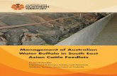 Management of Australian Water Buffalo in South East Asian ... · Australia's buffalo herd disease status is the same as for cattle. During the late ... Cattle feedlots in South East