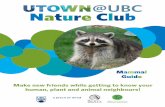 Nature Club - UTown UBC...Food: This bat flies quickly so it likes to eat fast, flying prey, such as beetles, wasps, flies, mosquitoes, and dragonflies. Notes: Many people are scared