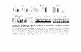 Figure S1. Increasing insulin signaling in osteoblasts ... 150 Figure S1. Increasing insulin signaling in osteoblasts weakens glucose intolerance in mice fed a HFD. (A) Histomorphometric