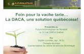 Foin pour la vache tarie… La DACA, une solution québécoise! · Sophie Lavallée, agr., M.Sc. Chargée de projet Coordonnatrice du centre de services Montérégie. Collaborateurs