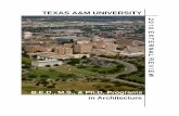 TEXAS A&M UNIVERSITY · 2020-08-05 · 6.1.1 Information Technology Services 119/Lab in Room 119 126 6.1.2 GIS Lab/348 128 6.1.3 4th Floor Lab Langford 128 6.1.4 VIZ Lab – 2nd Floor