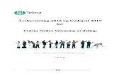 Årsberetning 2018 og budsjett 2019 for Tekna Nedre Glomma ... · Curling med Tekna 11. mars Tekna Ung 8 Swing-kurs 16. mars Tekna Ung 5 Løpeteknikk 30. mai Tekna Ung 8 Klatring
