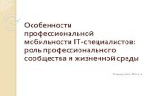 Особенности профессиональной мобильности IT …/25346/Profmob.pdf · маркетинга 2ИС Новосибирск, ... рекрутингуи