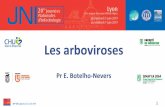 Les arboviroses - Infectiologie...Principales arboviroses (>500 arbovirus, ≈ 100 pathogènes pour l’Homme) 20es JNI, Lyon du 5 au 7 juin 2019 Répartition géographique 6 ZI, CHIK,