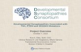 Rare Disease Clinic Research Consortium...2015/10/07  · Overview of Developmental Synaptopathies Consortium (DSC) • 10 site consortium funded by NCATS, NIMH, NINDS and NICHD •