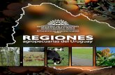 ESTADÍSTICAS AGROPECUARIAS DIEA REGIONES · REPÚBLICA ORIENTAL DEL URUGUAY ESTADÍSTICAS AGROPECUARIAS DIEA Mayo de 2015 REGIONES agropecuarias del Uruguay. p.3 ... 7.DISTRIBUCIÓN