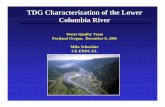 TDG Characterization of the Lower Columbia Riverpweb.crohms.org/tmt/wq/studies/lower_col_tdg_20051209.pdf2005/12/09  · 20 TDG Characterization of the Lower Columbia River • TDG