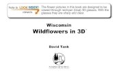 Wisconsin Wildflowers in 3Dplanertcreekpress.com/3dwildflowers/lookinside-WisWildflowers3D.pdf · barium’s Wisconsin Botanical Information System database. Alternate common names
