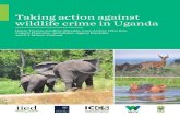 Taking action against wildlife crime in UgandaTAKING AC TION AGAINST WILDLIFE CRIME IN UGANDA 6 UWA does run activities to address some of the drivers of wildlife crime — such as