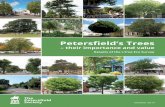 Petersfield’s Trees - Urban Tree Cover...The Forest Service, Davey Tree Expert Company, National Arbor Day Foundation, Society of Municipal Arborists, International Society of Arboriculture,