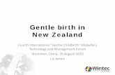 Gentle birth in New Zealand - Wintec Research Archiveresearcharchive.wintec.ac.nz/5235/25/gentle birth... · Fourth International "Gentle Childbirth" Midwifery Technology and Management