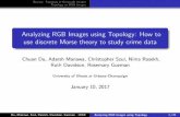 Analyzing RGB Images using Topology: How to use discrete ...guests.mpim-bonn.mpg.de/rasekh/jmm.pdf · Analyzing RGB Images using Topology: How to use discrete Morse theory to study