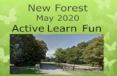 May 2020 Active Learn · PDF file May 2020 Active Learn Fun . Where is it? What are we doing? Time Activity 11am – 3pm Winchester Science Museum / Planetarium 4pm – 5pm Games 5pm
