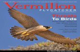Vermilion...Vermilion f l y c a t c h e r October–December 2013 | Volume 58, Number 4 The QuarTerly News MagaziNe Of TucsON auDubON sOcieTy | TucsONauDubON.Org Threats To Birds Climate
