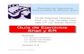 Guía de Ejercicios Shell y ERmaterias.fi.uba.ar/7508/Slides/13P-ShellER.pdf · 2019-02-17 · archivo tar comprimido con gzip y con nombre igual a la fecha en formato yyyymmdd seguido