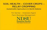SOIL HEALTH COVER CROPS RELAY CROPPING€¦ · SOIL HEALTH – COVER CROPS – ... Expanding the Benefits of Peas in Rotation Blaine G. Schatz Carrington Research Extension Center