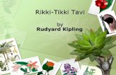 Rikki-Tikki Tavi · “Rikki-tikki-tavi” • Published as part of The Jungle Book stories, 1894 • Has been published more than once as a short book in its own right. • Also