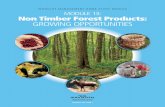 WOODLOT MANAGEMENT HOME STUDY MODULE ...WOODLOT MANAGEMENT HOME STUDY MODULE MANUAL HSC 2008-1 MODULE 13: Non Timber Forest Products: GROWING OPPORTUNITIES 0018.08.CNS NonTimberModule