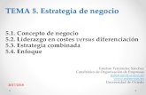 TEMA 4. Estrategia de negocio - Esteban Fernández Sánchez · 2018-01-14 · TEMA 5. Estrategia de negocio 5.1. Concepto de negocio 5.2. Liderazgo en costes versus diferenciación