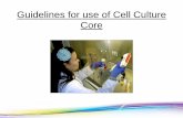 Guide lines for use of Cell Culture Core facility · 3.Why is the vertical laminar air flow hood better for cell culture than a horizontal air flow hood? 4.Name three things you can