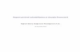 Raport privind solvabilitatea și situația financiară RO... · 2019-04-25 · Raport privind solvabilitatea și situația financiară Signal Iduna Asigurare Reasigurare S.A. Prezentare