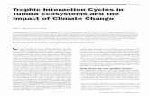Articles Trophic Interaction Cycles in Tundra …...ROLF A. IMS AND EVA FUGLEI While population cycles are geographically widespread, it is on arctic tundra that such cycles appear