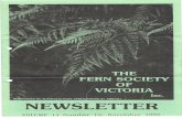 .TOONS NEWSLETTER...magnificent ferns. Mary and her group will be presenting some of the fern and other delights that confront the visitor to Fiji. Fern Competition: The fern competition