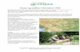 Gemse og muflon i Slovenien i 2018 - Aurora Jagtrejser · 2018-01-02 · Aurora Jagtrejser Jomfrustien 4. 1.sal DK-6100 Haderslev tlf. +45 23452694 Postbox 115 E-Mail: aurora@aurorajagtrejser.dk
