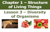 Lesson 3 - Diversity of Organisms€¦ · Lesson 3 – Diversity of Organisms. How are living things grouped together? Scientists classify all living things (put them into groups).