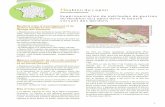 Houblon du Japon - Espèces exotiques · PDF file A 2 Houblon du Japon (Humulus japonicus) Expérimentation de méthodes de gestion du Houblon du Japon dans le bassin versant des Gardons