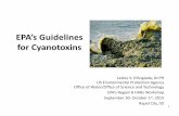 EPA’s Guidelines for Cyanotoxins - Tetra Techs... · EPA’s Guidelines for Cyanotoxins Lesley V. D’Anglada, Dr.PH US Environmental Protection Agency Office of Water/Office of