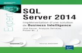 SQL Server 2014 Implémentation d’une solution de Business ... · la suite Microsoft SQL Server 2014: la base de données SQL rela-tionnelle, l’ETL Integration Services, le modèle