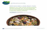 Report on Life Cycle Assessment Methodology for Assessing ... · generated in WP6, and feed in to policy (WP7) and overall assessment (WP8) objectives. WP5 will rely on data provided