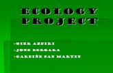 ECOLOGY PROJECTECOLOGY PROJECT Oier Azpiri Jone Bergara Garbiñe San Martin. THE ARTICLE