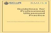 Guidelines for Professional Ultrasound Practice · 4.11.2 Paediatric urinary system ... Hyperlinks have been extensively used within the text to give access to the many relevant documents