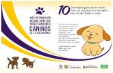 10 consejos diptico CURVAS - sema.gob.mx · Title: 10 consejos diptico CURVAS.cdr Author: Carlos Cano Created Date: 6/30/2017 1:57:58 PM
