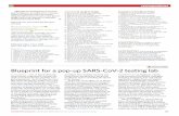 Blueprint for a pop-up SARS-CoV-2 testing lab - …correspondence. 3 SARS-CoV-2 + + + S