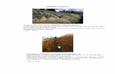 January 3, 1911, Chon Kemin, Kirgyzstan earthquake (Ms 8.2). · Source: Cisternas et al. (1989). The Spitak (Armenia) earthquake of 7 December 1988: field observation, seismology