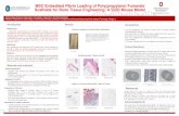 MSC Embedded Fibrin Loading of Poly(propylene) Fumarate ...osteoengineering.com/downloads/presentations/STEP_2014.pdf · MSC Embedded Fibrin Loading of Poly(propylene) Fumarate Scaffolds