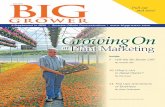 A Supplement to GPN | Scranton Gillette Communications | … Grower Plant Mktg low res.pdf · 2017-04-14 · A s you drive through the rolling hills of west central Wisconsin, one