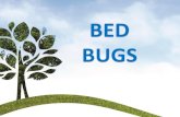 BED BUGS...Getting rid of them! •Wash clothes and bed linens in hot water, dry on hot setting •Hire a licensed pest control operator to get rid of bugs in furniture, rooms and