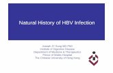 Natural History of HBV Infection · More severe necro-inflammation with high viral load Chan et al. AJG 2003. HBV genotype and DNA Levels in Hepatocellular Carcinoma • Prospective